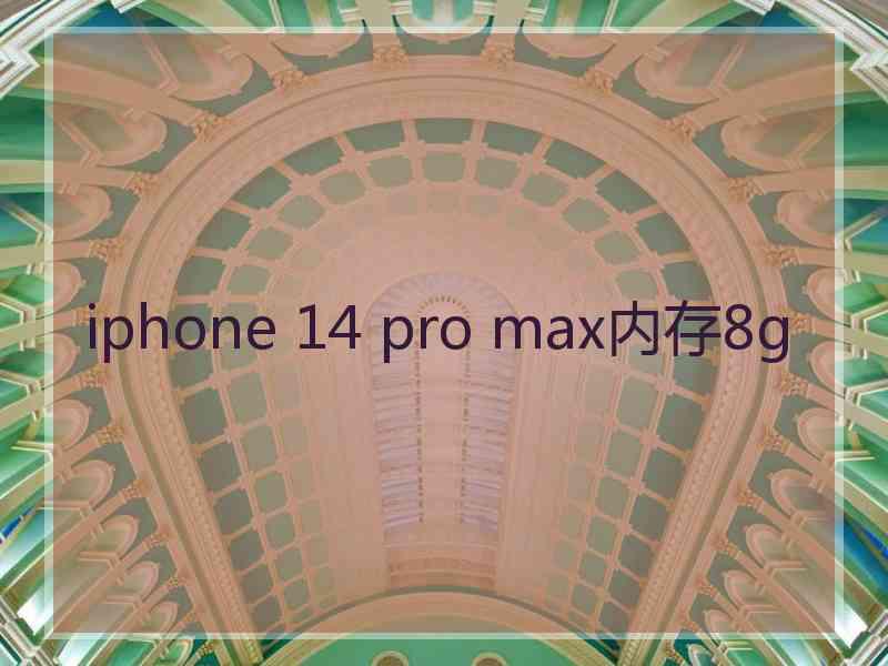 iphone 14 pro max内存8g