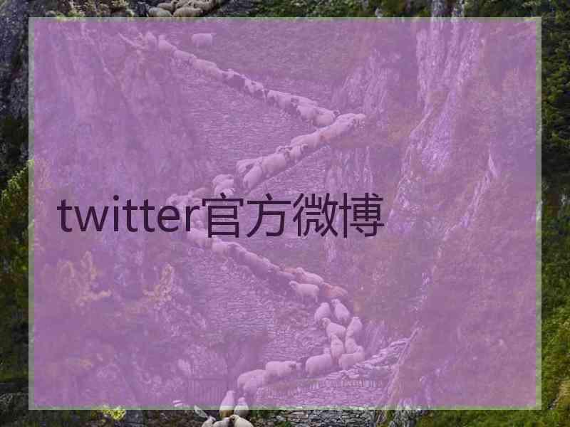 twitter官方微博