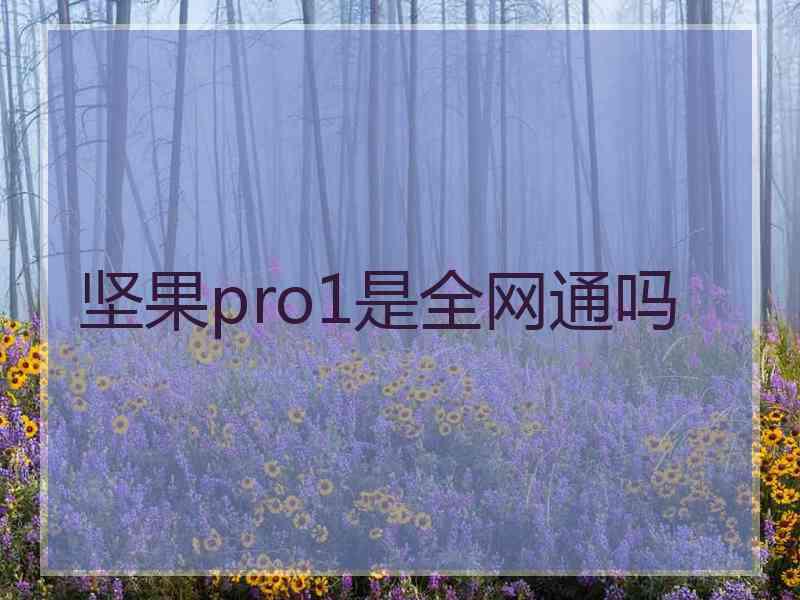 坚果pro1是全网通吗