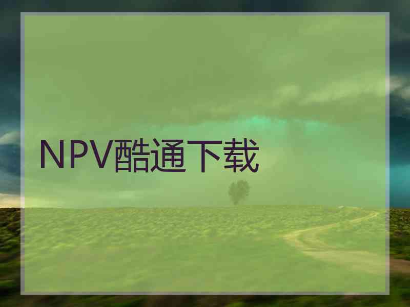 NPV酷通下载