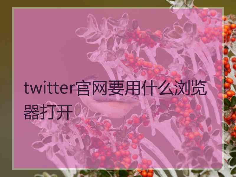 twitter官网要用什么浏览器打开