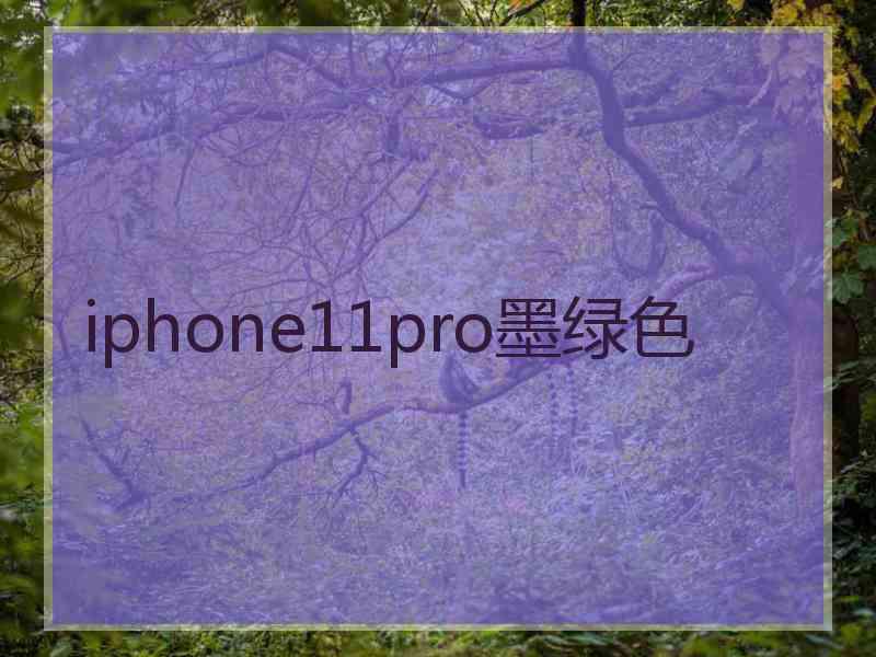 iphone11pro墨绿色