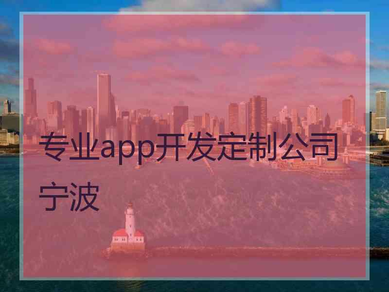 专业app开发定制公司宁波