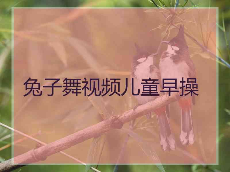 兔子舞视频儿童早操