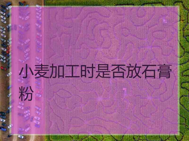 小麦加工时是否放石膏粉