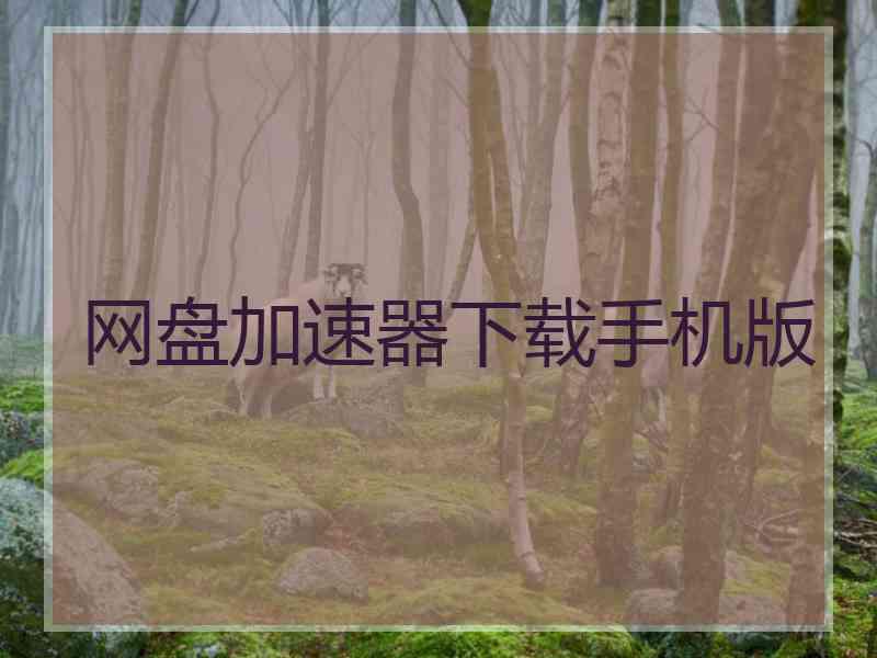 网盘加速器下载手机版