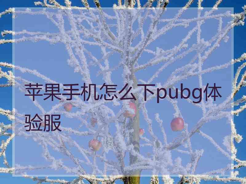 苹果手机怎么下pubg体验服