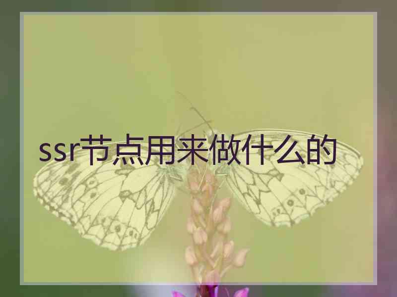 ssr节点用来做什么的