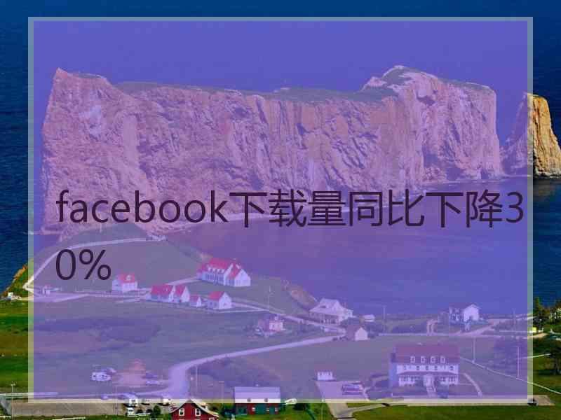 facebook下载量同比下降30%