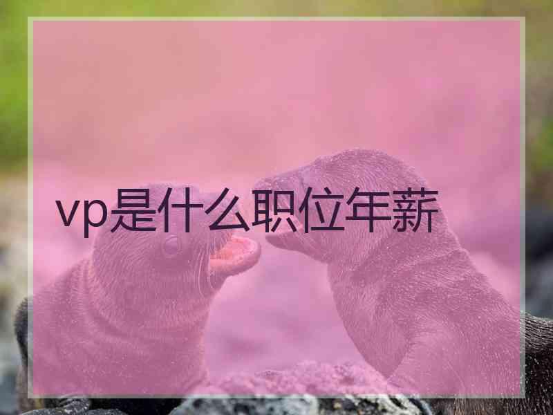 vp是什么职位年薪