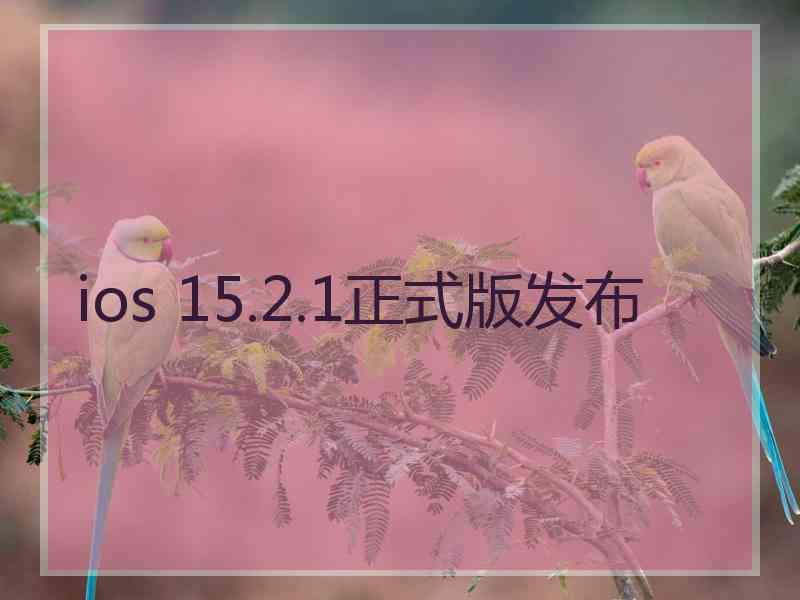 ios 15.2.1正式版发布