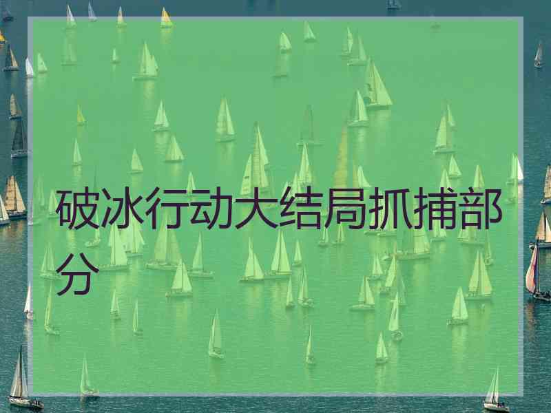 破冰行动大结局抓捕部分