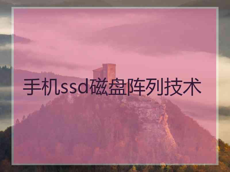 手机ssd磁盘阵列技术