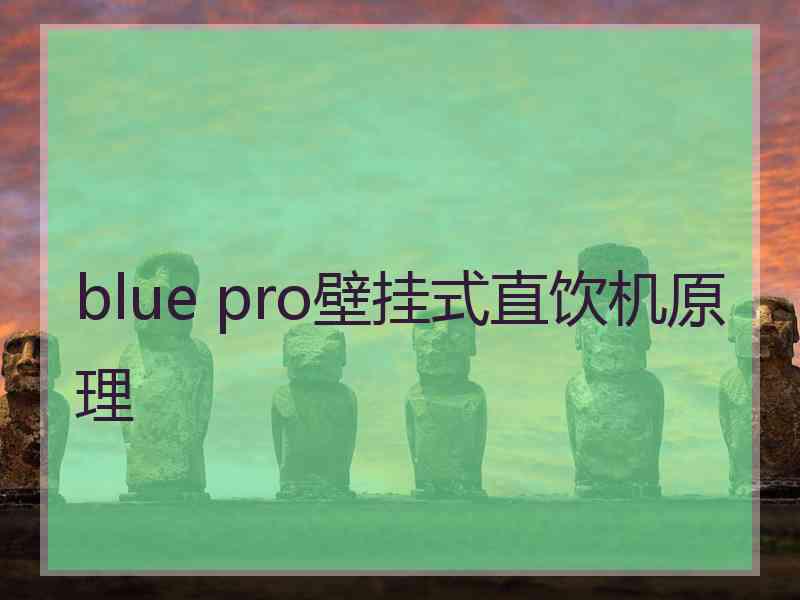 blue pro壁挂式直饮机原理