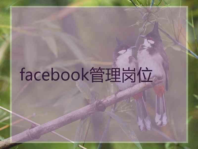 facebook管理岗位