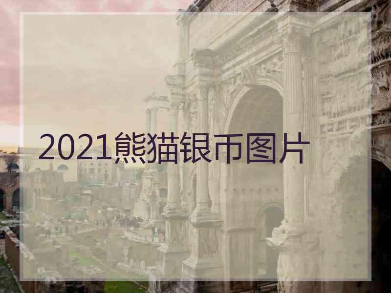 2021熊猫银币图片