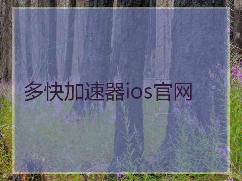 多快加速器ios官网