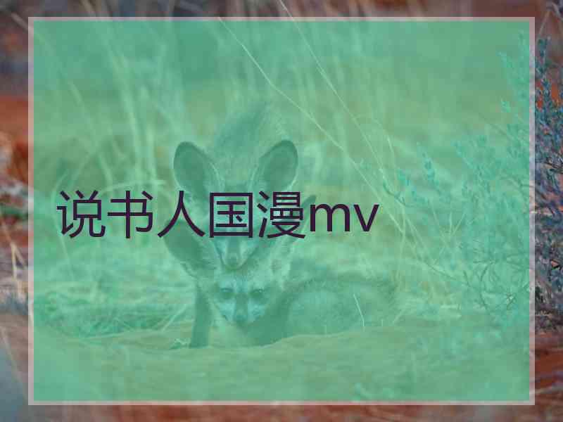 说书人国漫mv