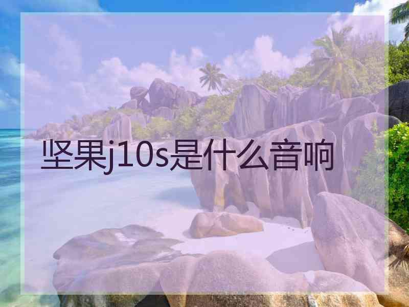 坚果j10s是什么音响