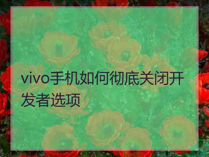 vivo手机如何彻底关闭开发者选项