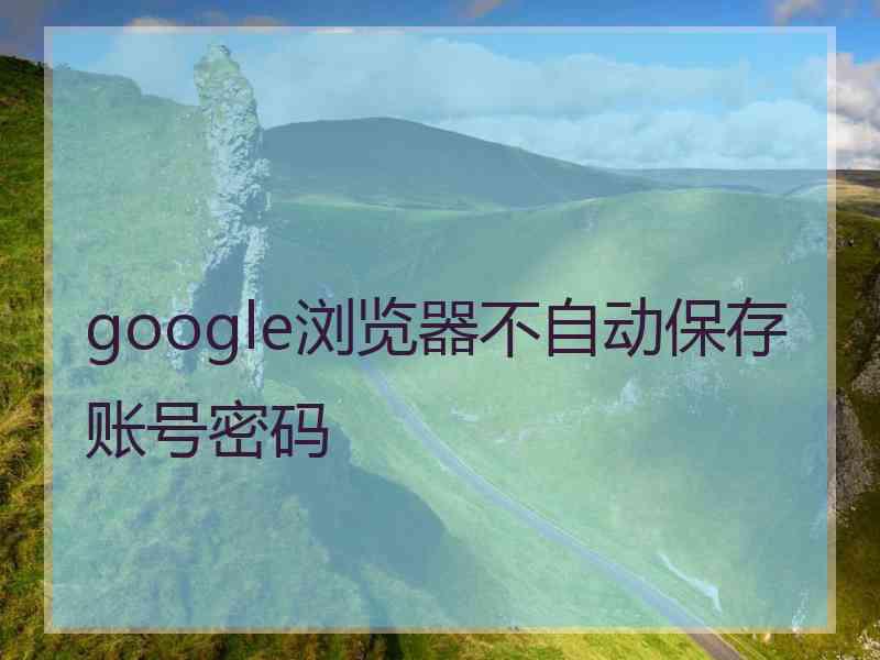 google浏览器不自动保存账号密码