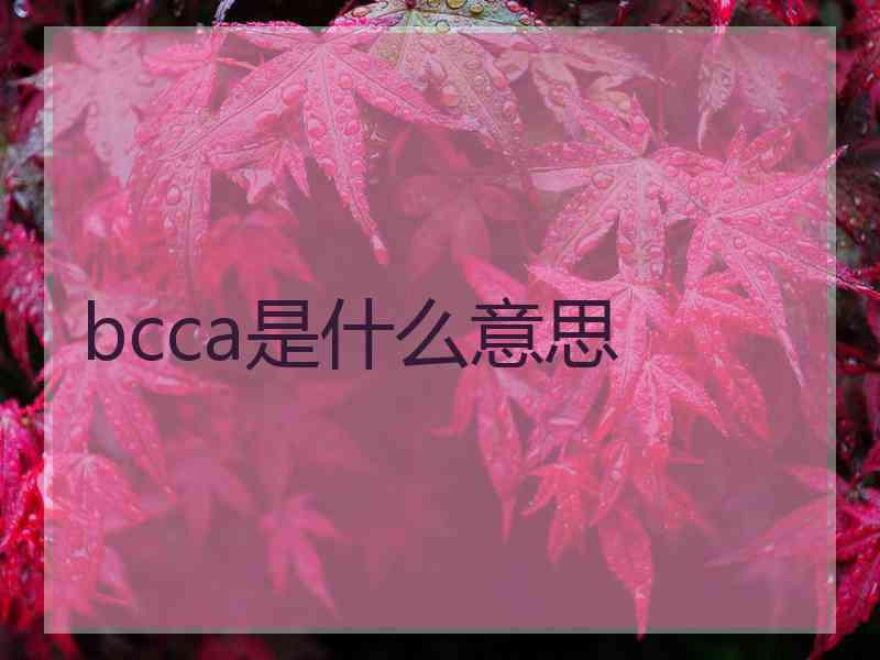 bcca是什么意思