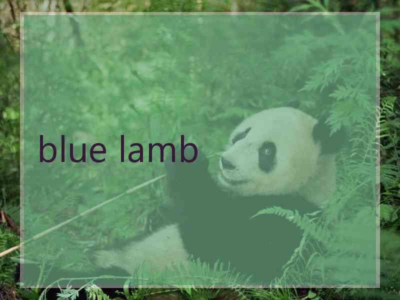 blue lamb