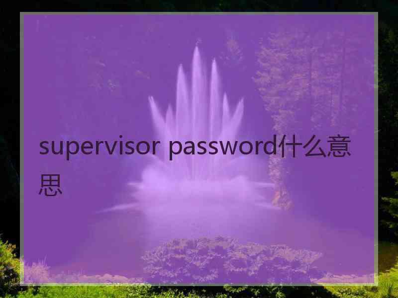 supervisor password什么意思