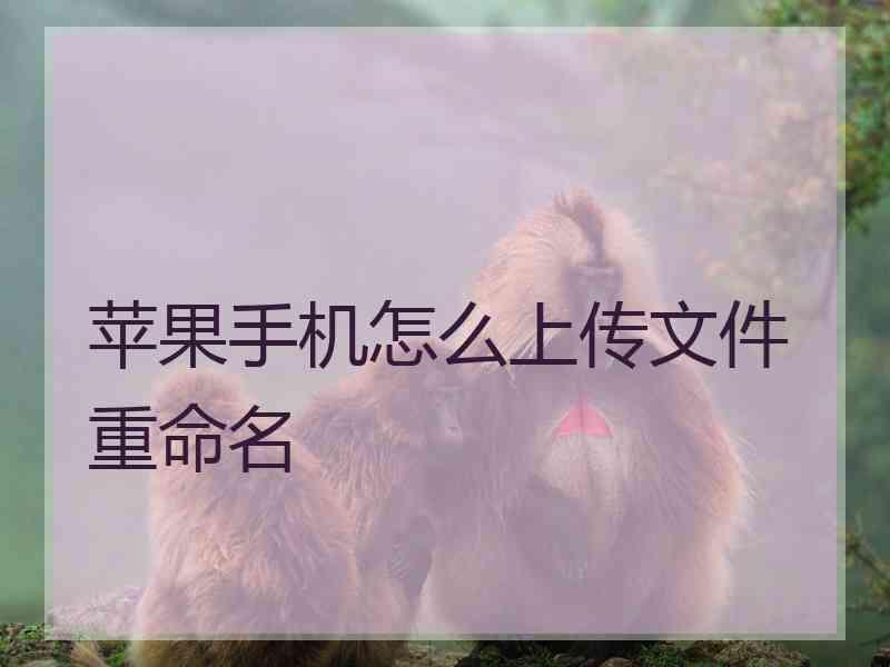 苹果手机怎么上传文件重命名