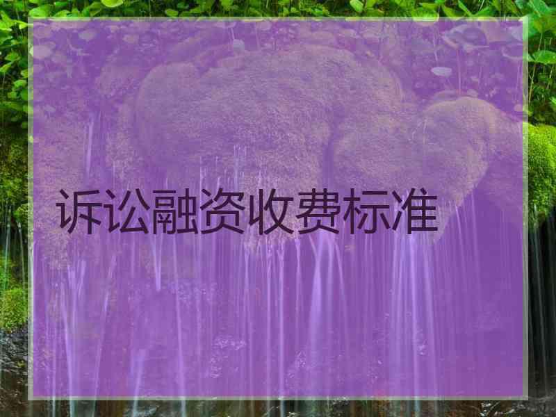 诉讼融资收费标准