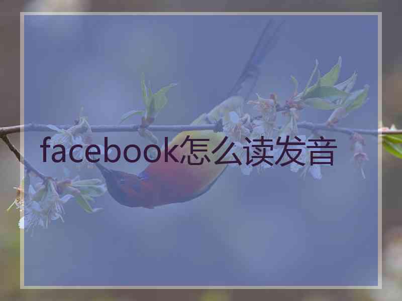 facebook怎么读发音