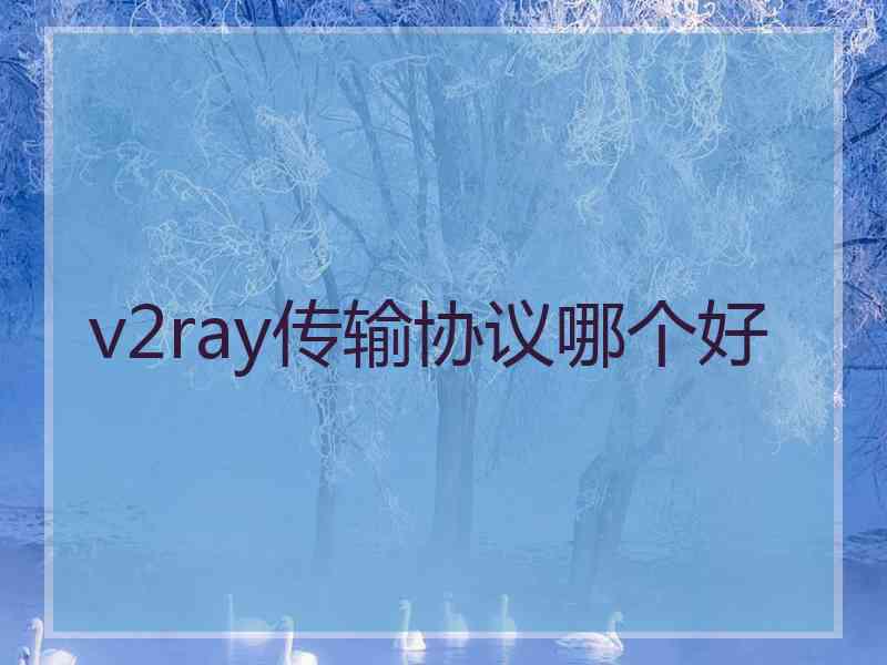 v2ray传输协议哪个好