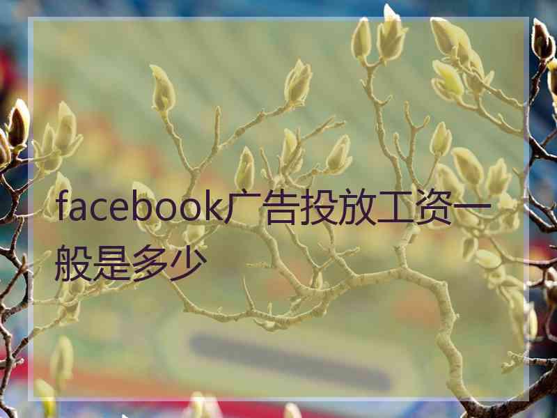 facebook广告投放工资一般是多少