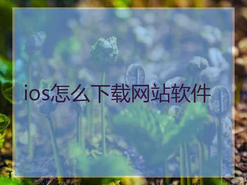 ios怎么下载网站软件