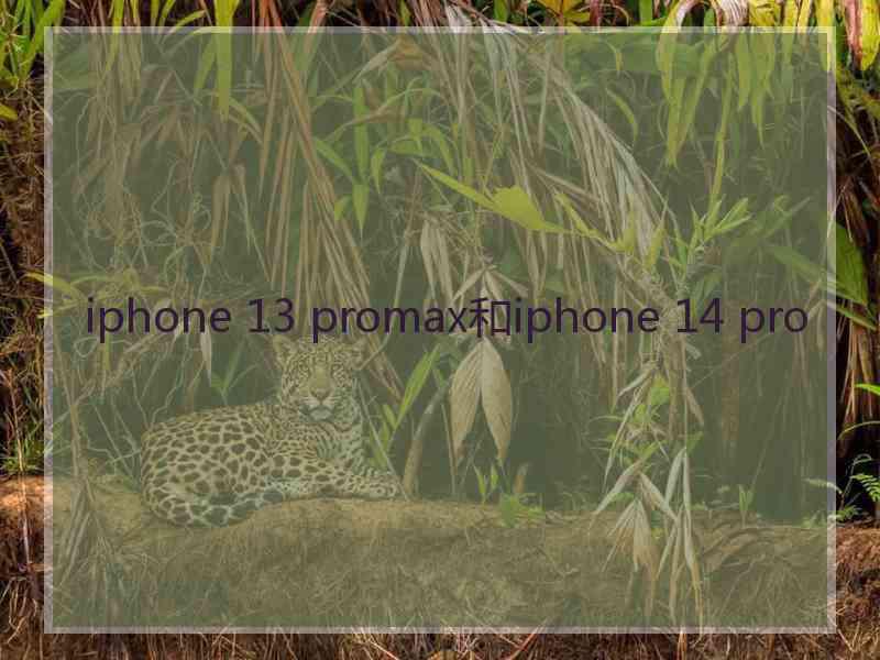 iphone 13 promax和iphone 14 pro