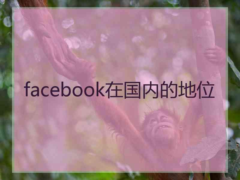 facebook在国内的地位