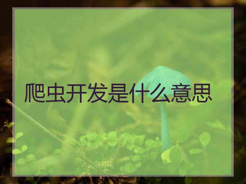 爬虫开发是什么意思