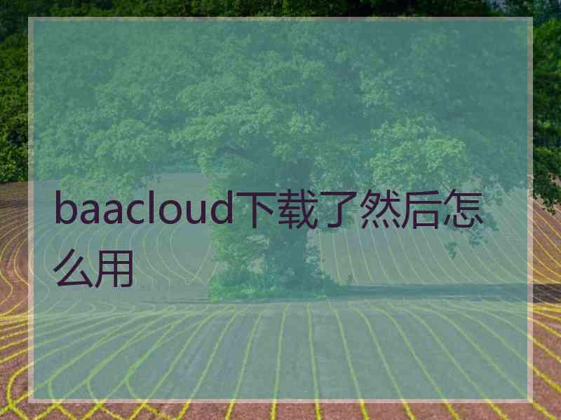 baacloud下载了然后怎么用