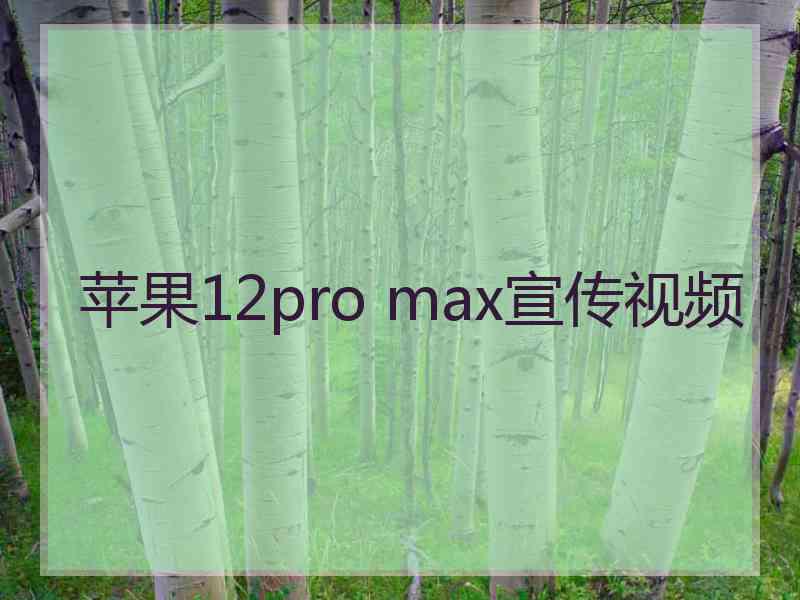 苹果12pro max宣传视频