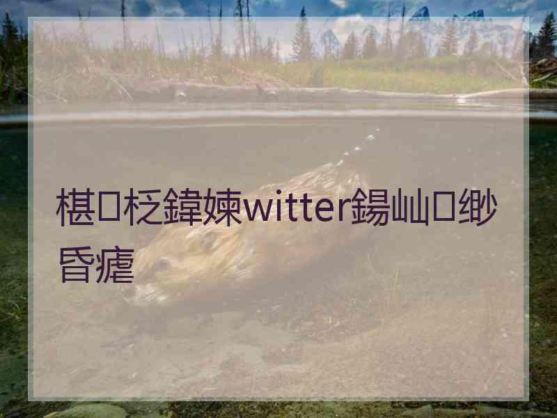 椹柉鍏媡witter鍚屾缈昏瘧