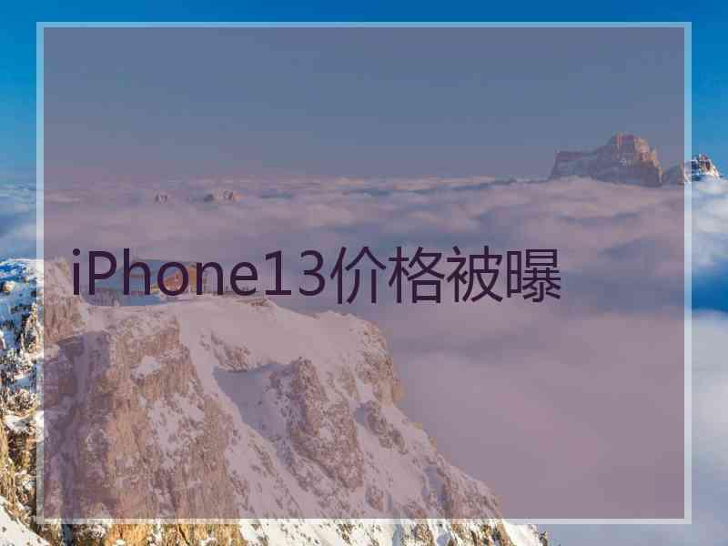 iPhone13价格被曝