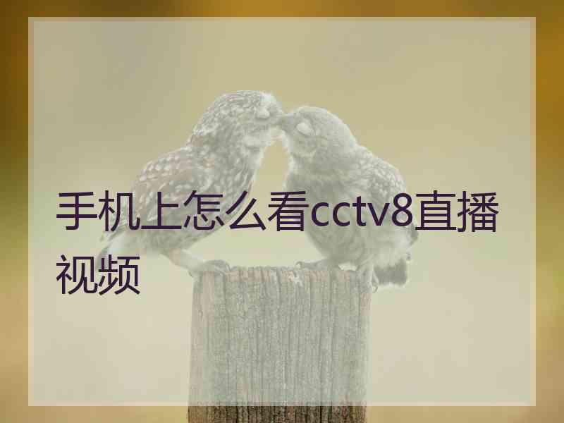 手机上怎么看cctv8直播视频