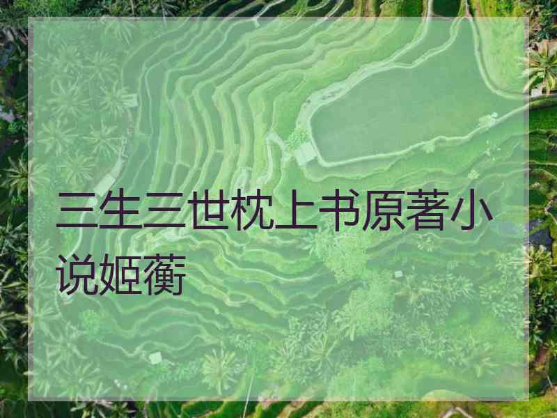 三生三世枕上书原著小说姬蘅