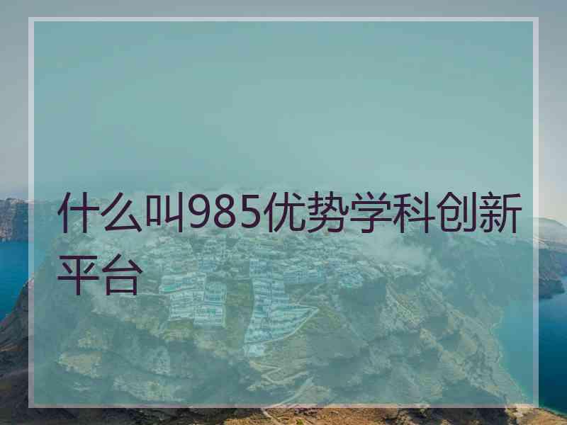 什么叫985优势学科创新平台