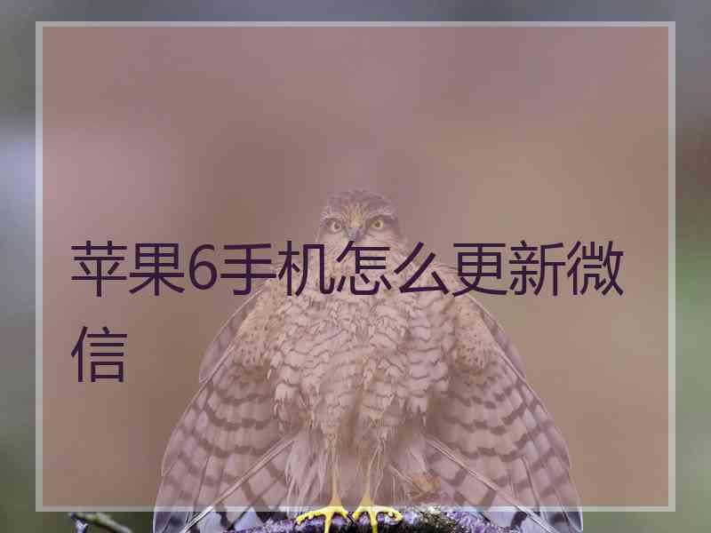 苹果6手机怎么更新微信