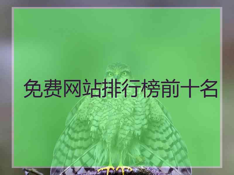 免费网站排行榜前十名