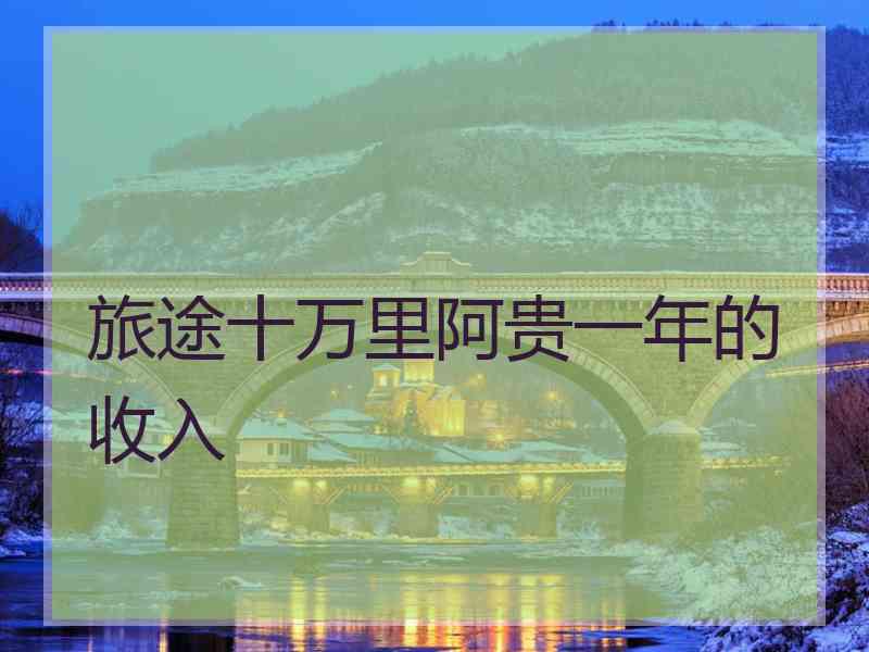 旅途十万里阿贵一年的收入