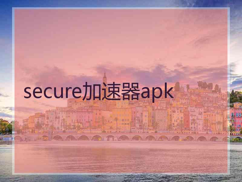 secure加速器apk