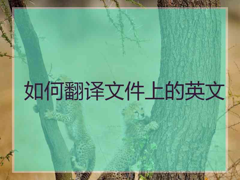 如何翻译文件上的英文