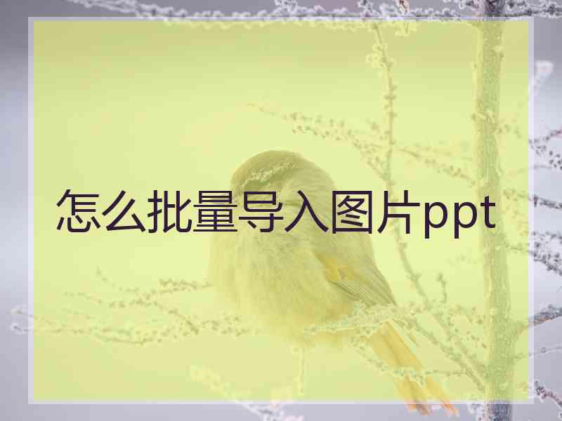 怎么批量导入图片ppt